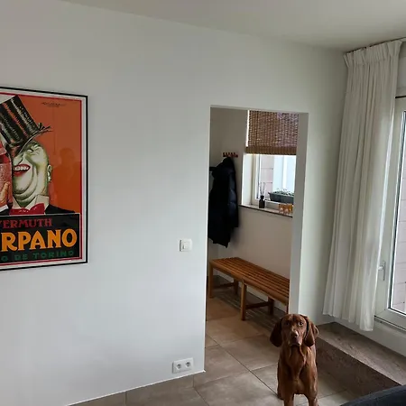 Penthouse 29 * Остенде